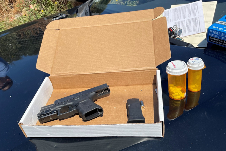 Bay Area Freeway Shooting Suspect Apprehended Using "Flock" Surveillance Technology