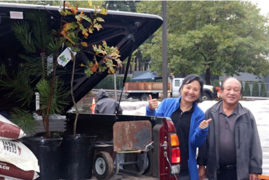 Bellevue Offers 700 Free Trees to Residents for Environmental Boost