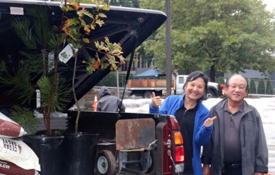 Bellevue Offers 700 Free Trees to Residents for Environmental Boost