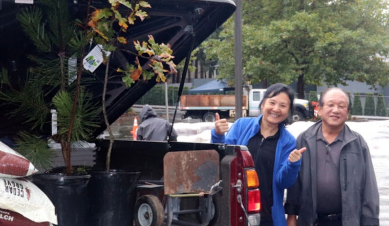 Bellevue Offers 700 Free Trees to Residents for Environmental Boost
