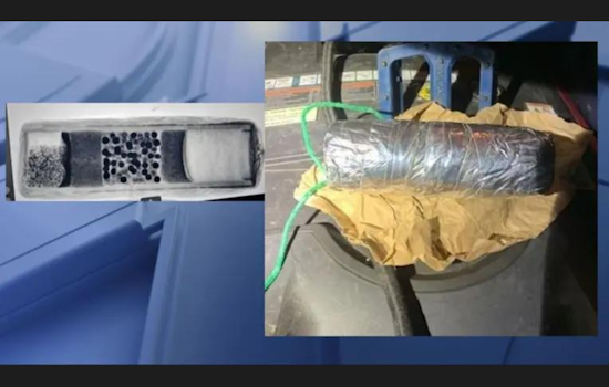 Bomb Squad Thwarts Deadly Plot in Wyandotte: Traffic Stop Reveals Homemade Explosive, Two Charged