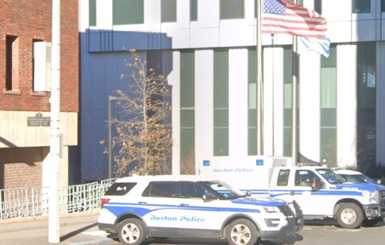 Boston Man Apprehended on Animal Cruavailability Charges After Dogs Found Deceased in Mattapan U-Haul