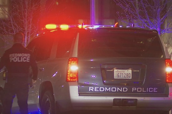 Bothell Man Killed in Accidental Mortar Firework Blast in Redmond Parking Lot