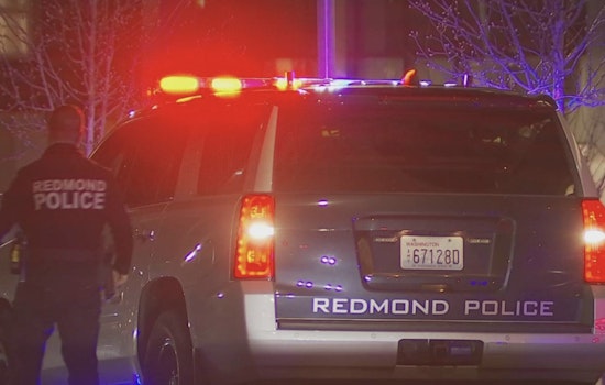 Bothell Man Killed in Accidental Mortar Firework Blast in Redmond Parking Lot
