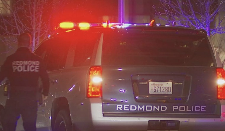 Bothell Man Killed in Accidental Mortar Firework Blast in Redmond Parking Lot
