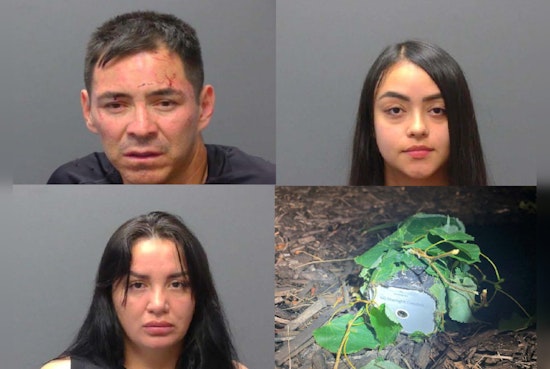 Braintree Police Nab Trio Suspected of International Theft Ring Involvement