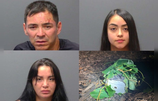 Braintree Police Nab Trio Suspected of International Theft Ring Involvement