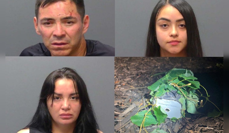 Braintree Police Nab Trio Suspected of International Theft Ring Involvement