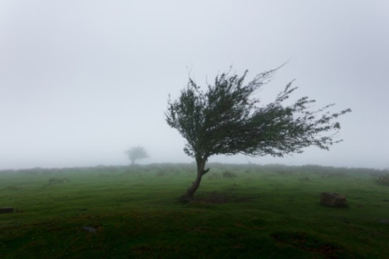Breezy Trade Winds to Ease Over the Weekend in Hawaii Amid Small Craft Advisory