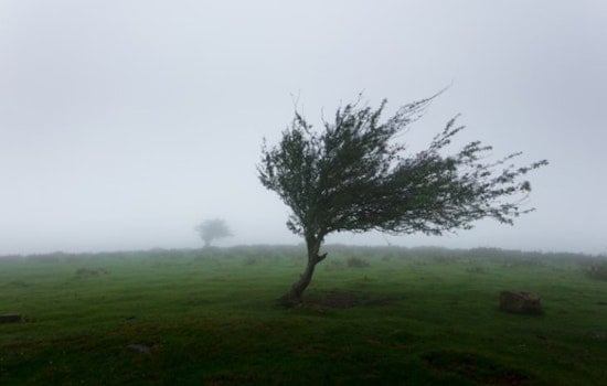 Breezy Trade Winds to Ease Over the Weekend in Hawaii Amid Small Craft Advisory
