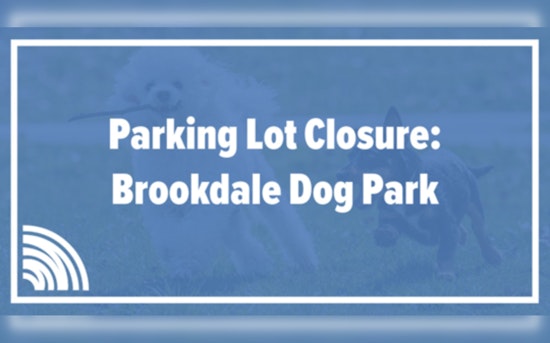Brookdale Dog Park Open During Parking Lot Repaving on July 17 