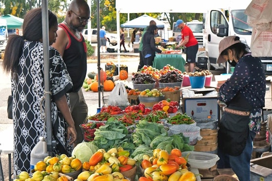 Brooklyn Park Summer Calendar: Farmers Markets, Concerts, and Adult Programs Fuel Community Spirit