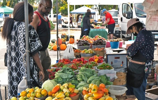 Brooklyn Park Summer Calendar: Farmers Markets, Concerts, and Adult Programs Fuel Community Spirit