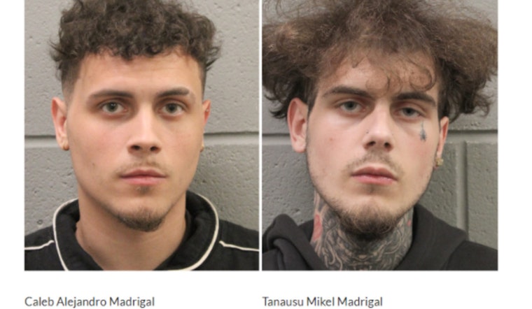 Brothers Charged with Aggravated Assault and Robbery in Washington Avenue Attack
