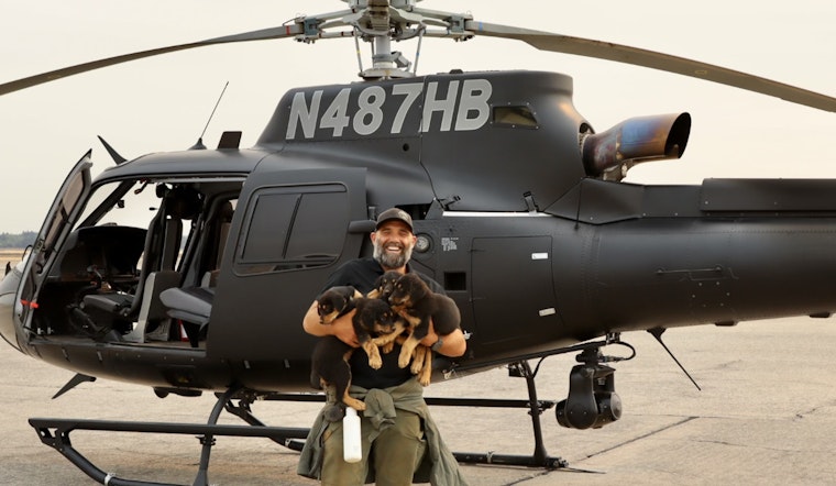 Butte County Responder Heroically Saves Rottweilers Amid Northern