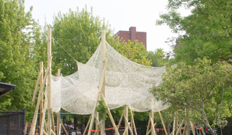 Cambridge Launches Artistic Shade Structures for Public Health and Climate Resilience