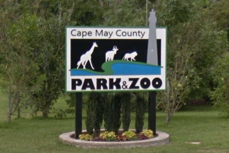 Cape May County Zoo Receives Historic $1.4 Million Donation from Edison Philanthropist's Estate