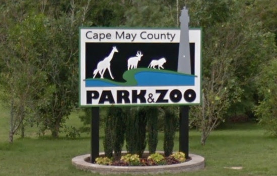 Cape May County Zoo Receives Historic $1.4 Million Donation from Edison Philanthropist's Estate