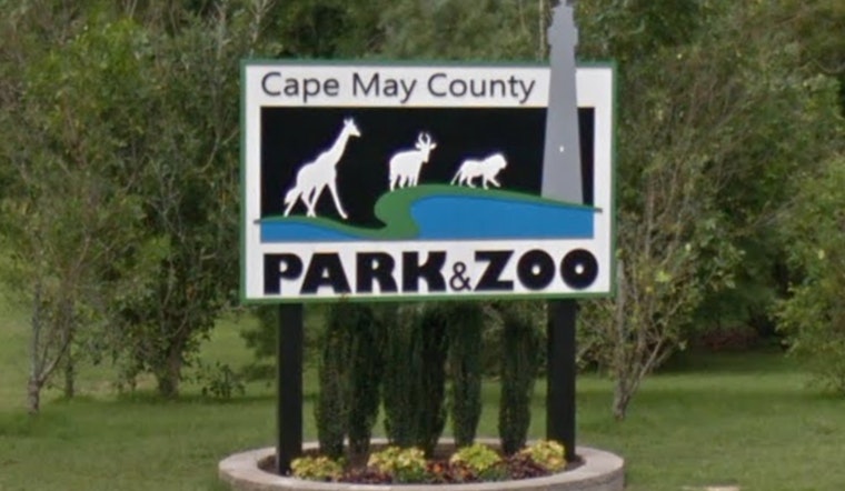 Cape May County Zoo Receives Historic $1.4 Million Donation from Edison Philanthropist's Estate