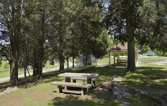 Carl Cowan Park Splashpad in Knox County Closed for Repairs, Alternative Venues Suggested