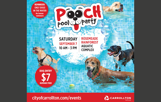 Carrollton's Pooch Pool Party: A Splashing Day Out For Dogs and Owners on September 7