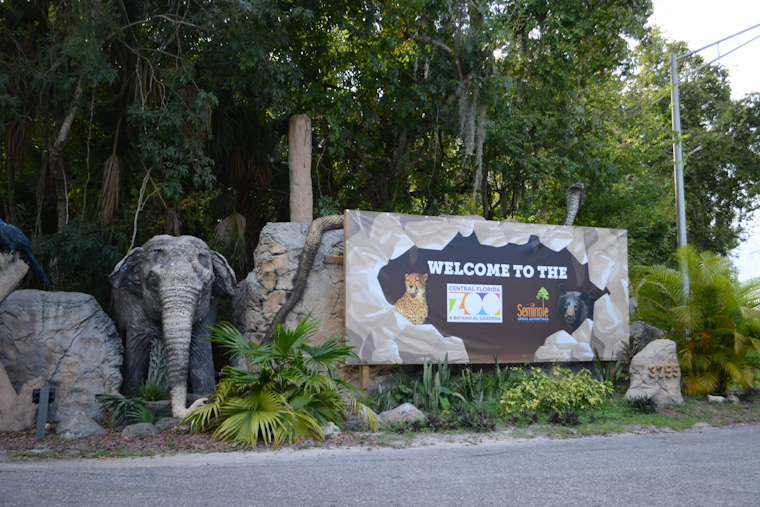 Central Florida Zoo Offers Free Kids' Admission with Adult Ticket Purchase Through August 31st