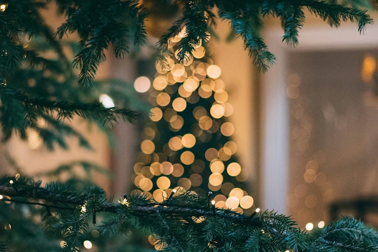 Central Texas' Beloved Sights & Sounds of Christmas Festival on Hiatus for 2024 in San Marcos Due to Financial Woes