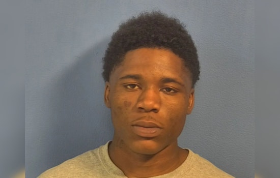 Chicago Man Denied Pre-Trial Release After Alleged Gunpoint Robbery in Elmhurst