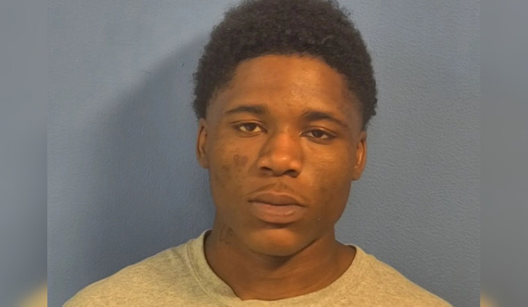 Chicago Man Denied Pre-Trial Release After Alleged Gunpoint Robbery in Elmhurst