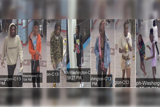 Chicago Police Search for Suspects in Senior Citizen Robbery on CTA Orange Line