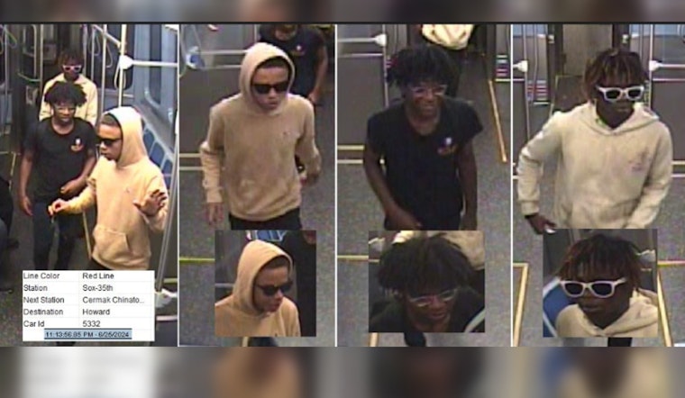 Chicago Police Seek Public's Help Following Armed Robbery on Red Line Near 35th Street