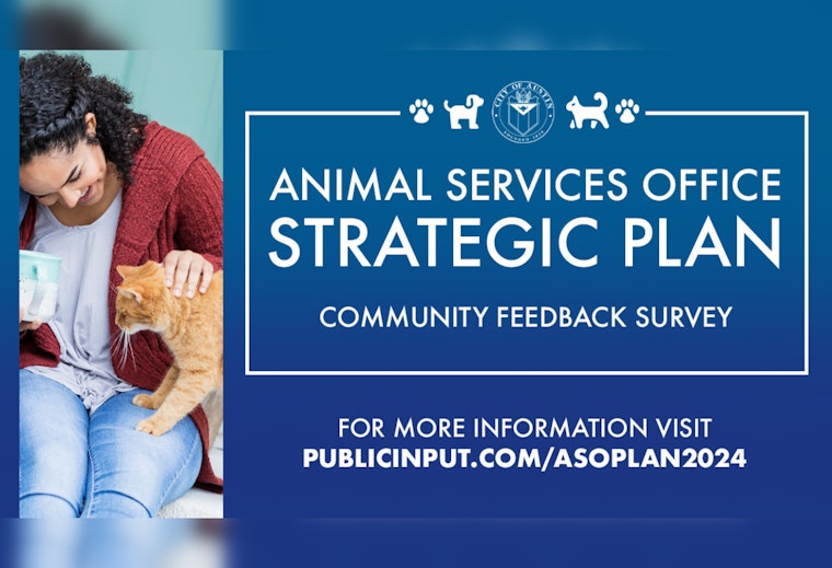City of Austin Seeks Resident Input to Overhaul Animal Services Strategy After Audit Concerns