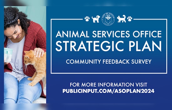 City of Austin Seeks Resident Input to Overhaul Animal Services Strategy After Audit Concerns