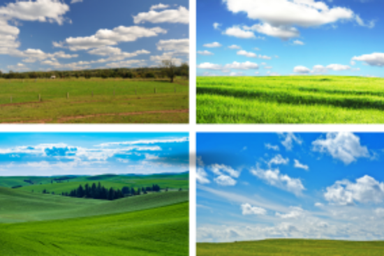 City of Santa Rosa Invites Bids for Dryland Biosolids Farming on Petaluma's Twin Vista Ranch