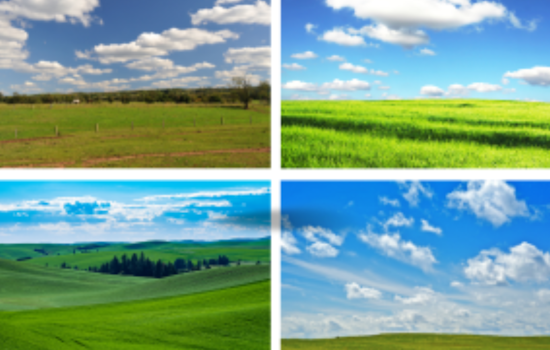 City of Santa Rosa Invites Bids for Dryland Biosolids Farming on Petaluma's Twin Vista Ranch