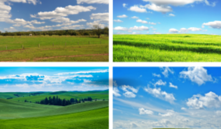 City of Santa Rosa Invites Bids for Dryland Biosolids Farming on Petaluma's Twin Vista Ranch
