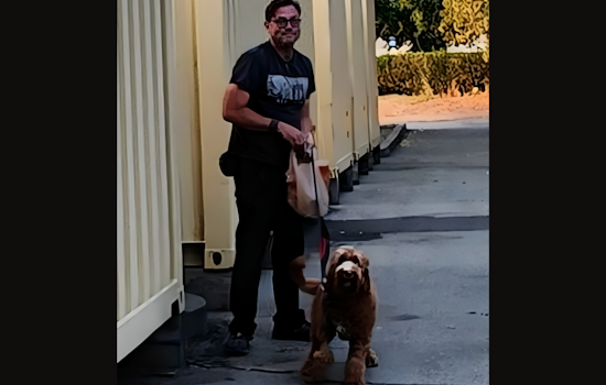 Concord Police Seek Public's Help to Identify Suspect in Diamond Blvd Vandalism Incident