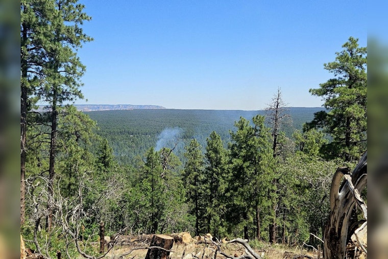Controlled "confine and contain" Wildfire Strategy Employed Near Tusayan to Promote Forest Health