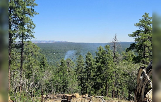 Controlled "confine and contain" Wildfire Strategy Employed Near Tusayan to Promote Forest Health