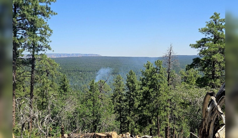 Controlled "confine and contain" Wildfire Strategy Employed Near Tusayan to Promote Forest Health