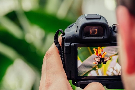 Coon Rapids Launches Photography Contest Celebrating 'Teamwork in Coon Rapids' with Cash Prizes for Winners