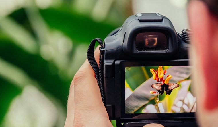 Coon Rapids Launches Photography Contest Celebrating 'Teamwork in Coon Rapids' with Cash Prizes for Winners