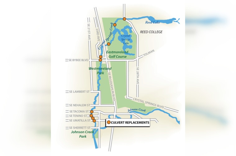 Crystal Springs Creek in Southeast Portland Becomes First Urban 'Salmon Sanctuary'