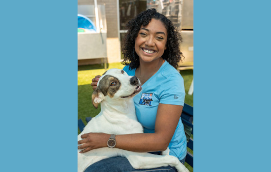Dallas Animal Services Welcomes New Volunteer Coordinator Tiffany Campbell Amid Summer Adoption Drive