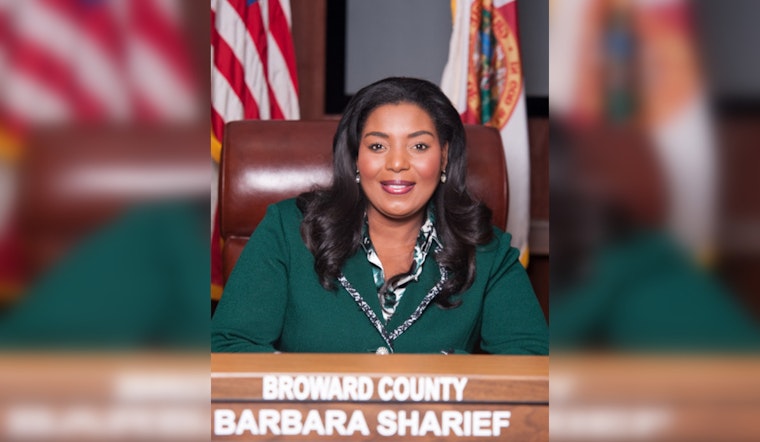 Democratic Candidates Clash with Libel Suit and Misinformation in Race for Florida's District 35 Seat