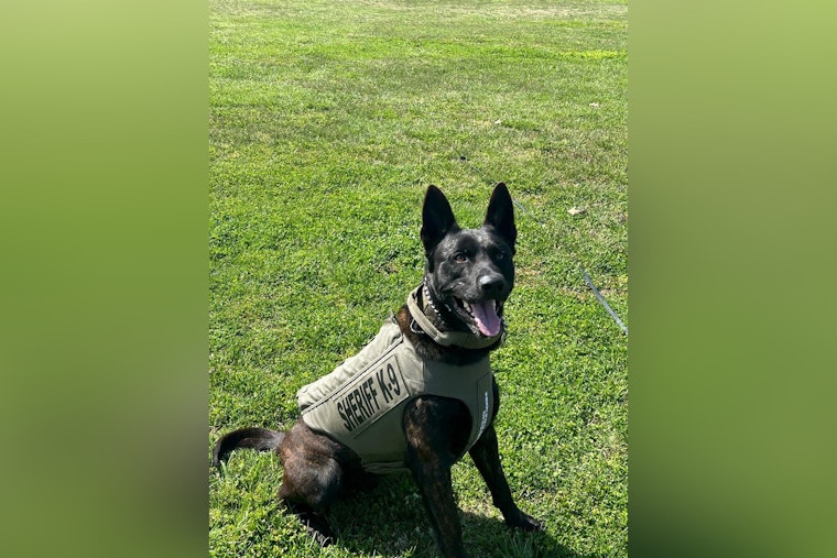 Dickson County Sheriff's Office Mourns the Loss of Beloved K-9 Deputy Ken