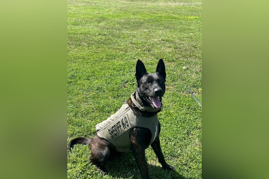 Dickson County Sheriff's Office Mourns the Loss of Beloved K-9 Deputy Ken