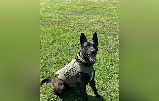 Dickson County Sheriff's Office Mourns the Loss of Beloved K-9 Deputy Ken
