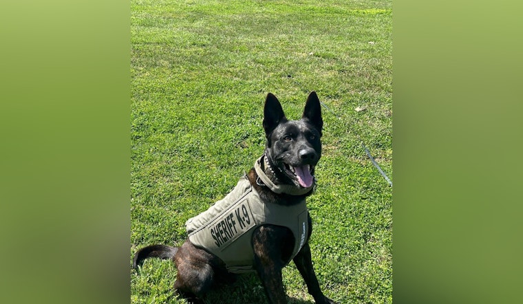Dickson County Sheriff's Office Mourns the Loss of Beloved K-9 Deputy Ken