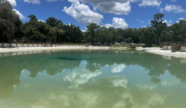 Discover the Timeless Allure of Florida’s Lithia Springs Conservation Park and its Array of Outdoor Activities